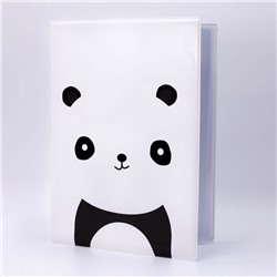 Органайзер для документов А4 Panda (семейный)