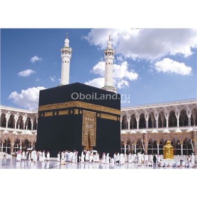 Фотообои Kaaba 8-116