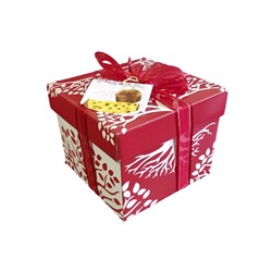 Кекс Рождественский Panettone VALENTINO в подарочной коробке с изюмом и  цукатами 1000гр