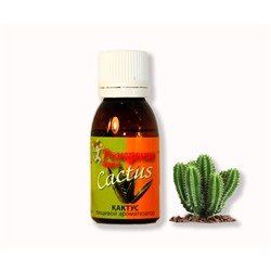 Пищевой ароматизатор Кактус (Cactus) (Турция)