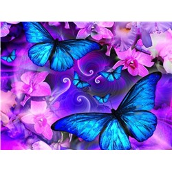 Алмазная мозаика картина стразами Синие бабочки, 30х40 см