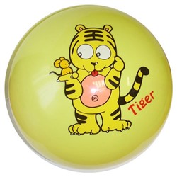Мяч с рисунком TB05 (20см, цвета в ассортименте)