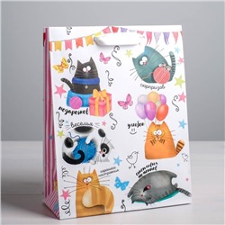 Пакет ламинированный вертикальный «Забавные коты», S 12 × 15 × 5,5 см