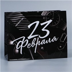 Пакет ламинированный горизонтальный «23 февраля», MS 23 × 18 × 8 см