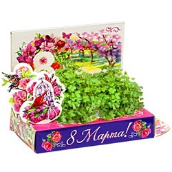 Подарочный набор Живая открытка  8 марта Букет тюльпанов