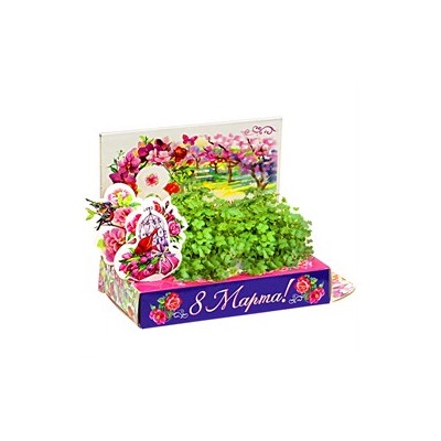 Подарочный набор Живая открытка  8 марта Букет тюльпанов