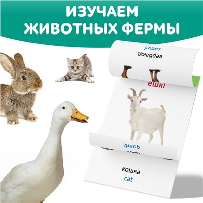 Книга по методике Г. Домана «Животные фермы», на казахском языке