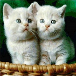 Алмазная мозаика картина стразами Два котёнка в корзине, 30х40 см