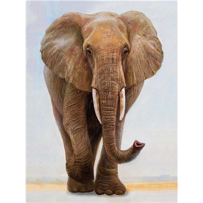 Алмазная мозаика картина стразами Слон, 30х40 см