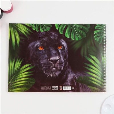 Альбом для рисования на гребне «Пантера»,мелованный картон 200 гр, бумага 100 гр ,40 листов .