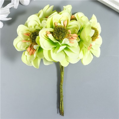 Цветы для декорирования "Эустома светло-зелёная" 1 букет=6 цветов 11 см