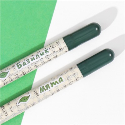 Растущие карандаши mini "Базилик + Мята" набор 2 шт.
