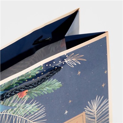 Пакет ламинированный вертикальный «Загадай желание», MS 18 × 23 × 8 см