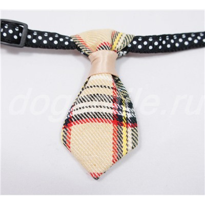 Ошейник - галстук для небольшой собаки