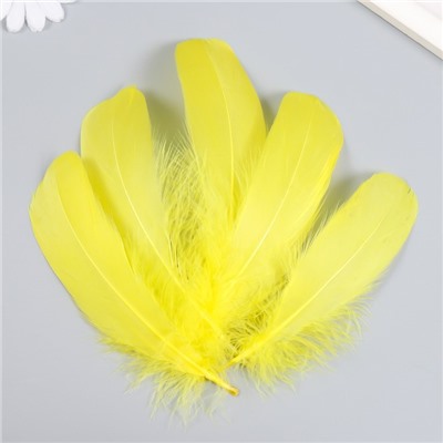 Набор декоративных перьев 160-190 мм (5 шт), жёлтый