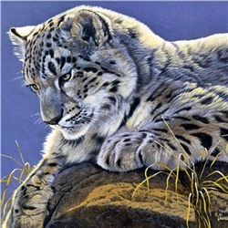 Алмазная мозаика картина стразами Тигр, 30х30 см