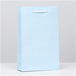 Пакет ламинированный, голубой, 26,5 х 16,5 х 7 см