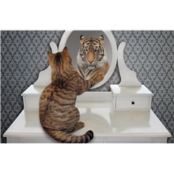 Алмазная мозаика картина стразами Тигр в отражении котёнка, 40х50 см