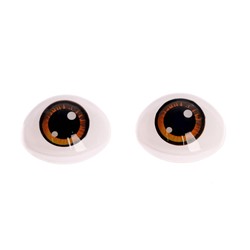 Глаза, набор 4 шт., размер 1 шт: 19,3×26 мм, цвет коричневый