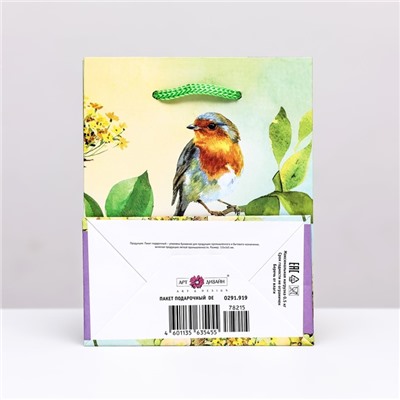 Пакет подарочный "Весенняя птичка", 11,5 х 14,5 х 6,5 см