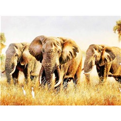 Алмазная мозаика картина стразами Слоны, 40х50 см