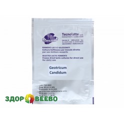Плесень для сыров (Geotrichum Candidum) на 50 литров (Tecnolatte) Артикул: 715