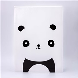 Органайзер для документов А4 Panda (индивидуальный)