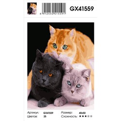 Картина по номерам на подрамнике GX41559