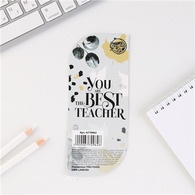 Ручка с колпачком Teacher №1, пластик, синяя паста, фурнитура серебро, 1.0 мм