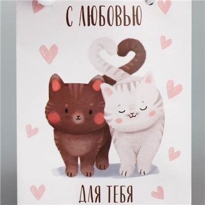 Пакет ламинированный «Котики», 7 × 10 × 7 см