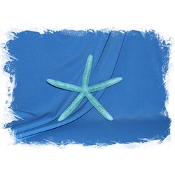 Морская звезда "Фингер" (Finger) 15-20 см. синяя